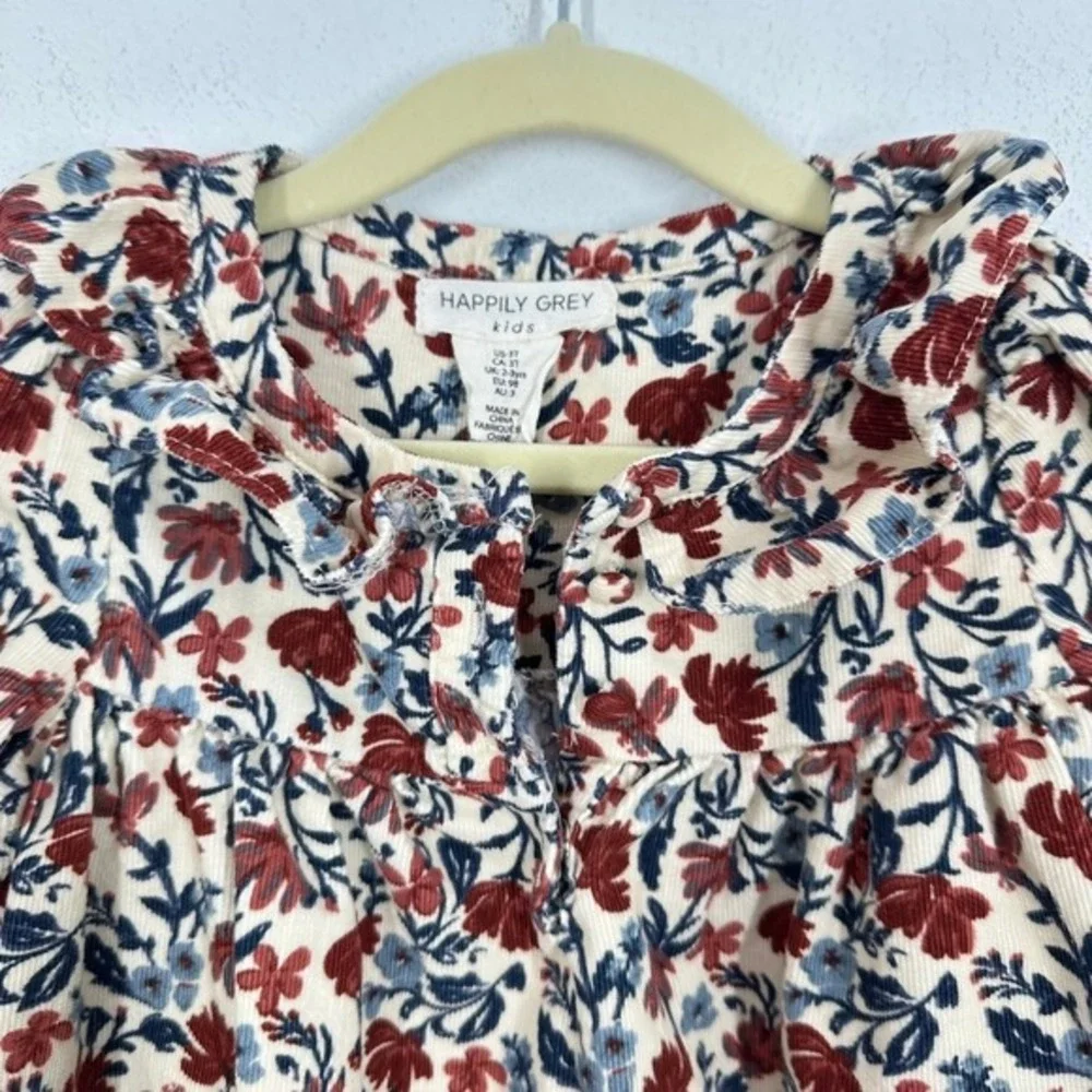 Happily Grey Girls Size 3T Dress Fall Floral Corduroy Ruffle Neck Long Sleeve